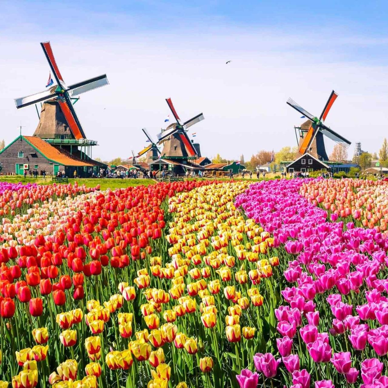 https://hasnaininternational.in/wp-content/uploads/2018/09/destination-netherlands-01-1280x1280.jpg